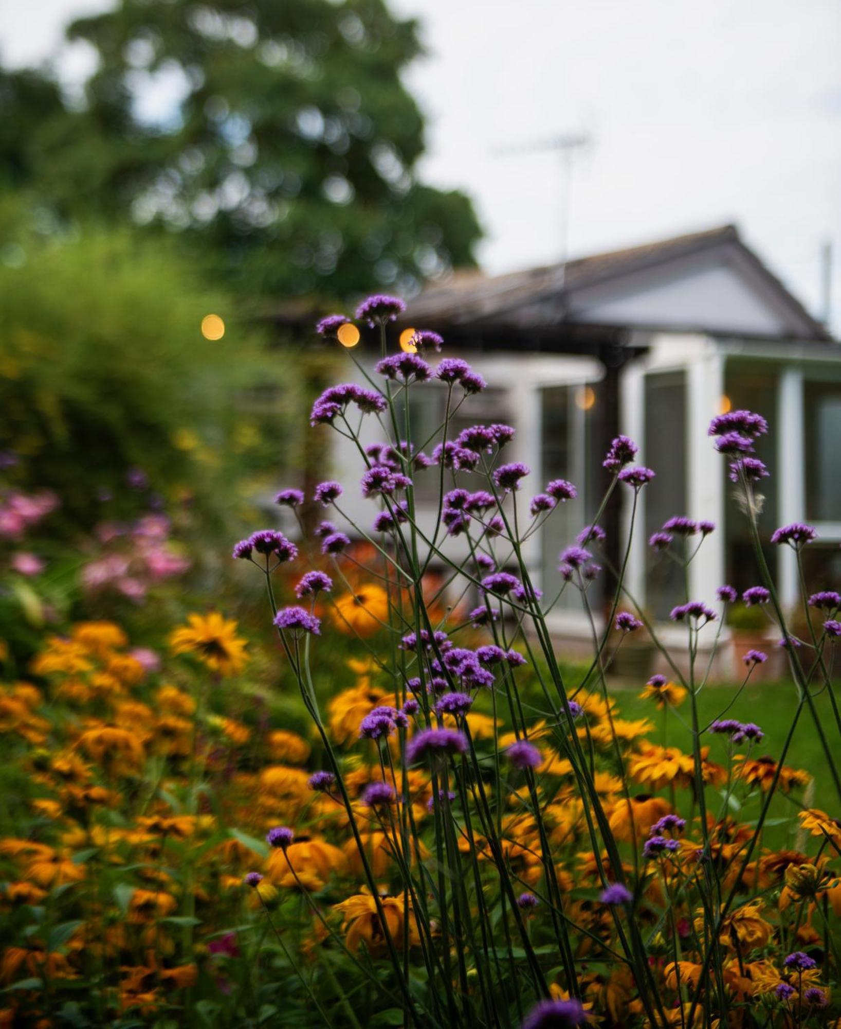 Peaceful, Country Setting In Suffolk, Near Coast Villa Halesworth Exteriör bild